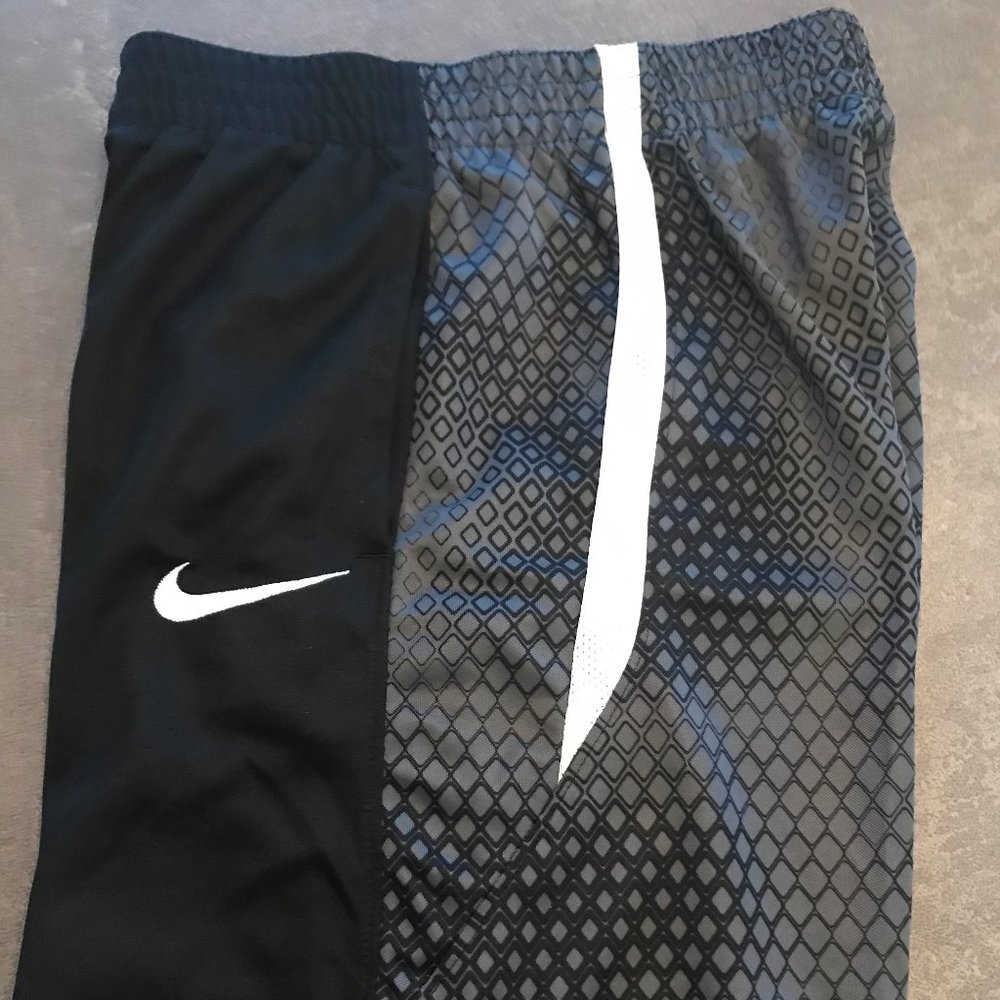 Nike Sport Shorts